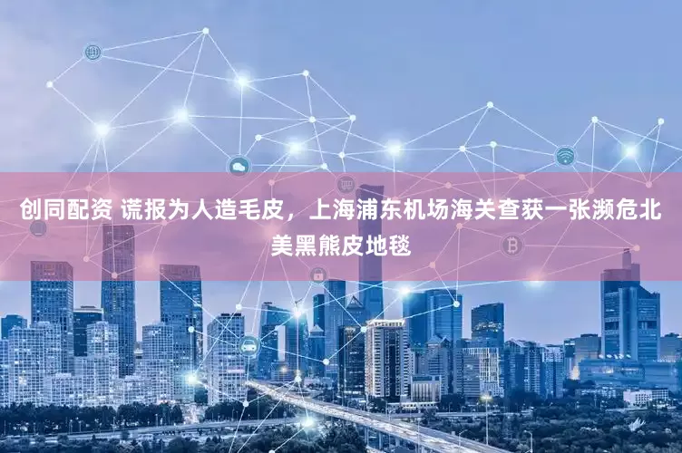 创同配资 谎报为人造毛皮，上海浦东机场海关查获一张濒危北美黑熊皮地毯