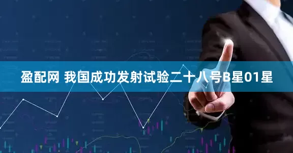 盈配网 我国成功发射试验二十八号B星01星