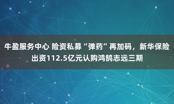 牛盈服务中心 险资私募“弹药”再加码，新华保险出资112.5亿元认购鸿鹄志远三期