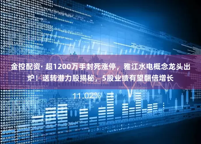 金控配资· 超1200万手封死涨停，雅江水电概念龙头出炉！送转潜力股揭秘，5股业绩有望翻倍增长