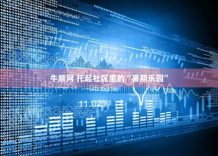 牛顺网 托起社区里的“暑期乐园”