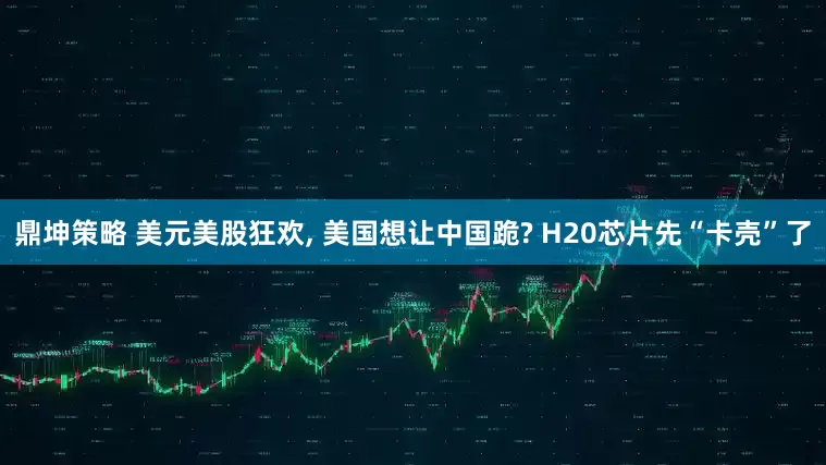 鼎坤策略 美元美股狂欢, 美国想让中国跪? H20芯片先“卡壳”了