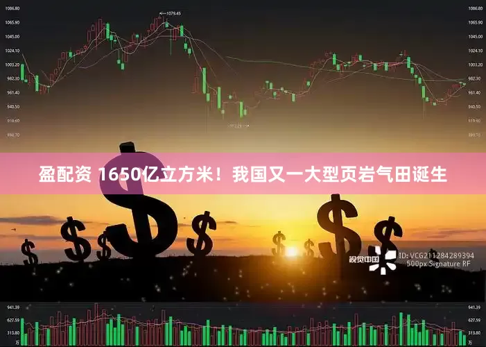 盈配资 1650亿立方米！我国又一大型页岩气田诞生