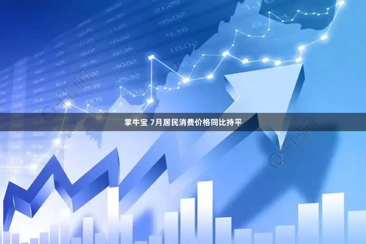 掌牛宝 7月居民消费价格同比持平