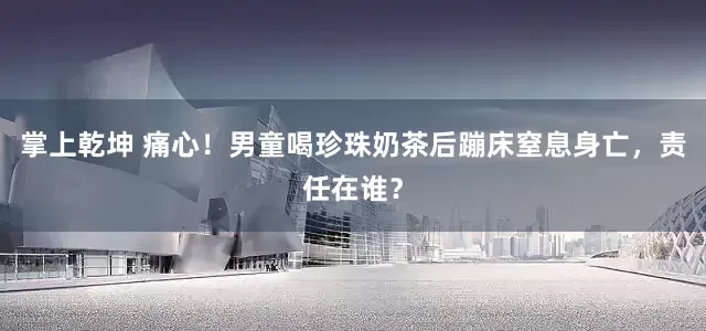 掌上乾坤 痛心!男童喝珍珠奶茶后蹦床窒息身亡,责任在谁?