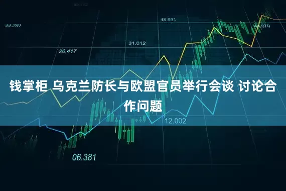 钱掌柜 乌克兰防长与欧盟官员举行会谈 讨论合作问题