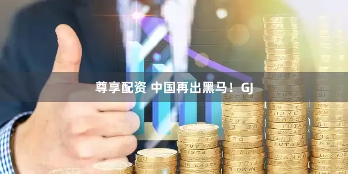 尊享配资 中国再出黑马！GJ