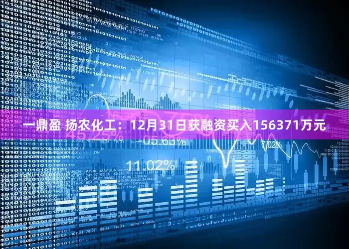 一鼎盈 扬农化工：12月31日获融资买入156371万元